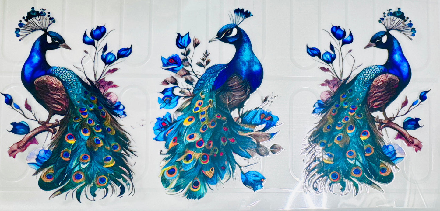 Pavo real