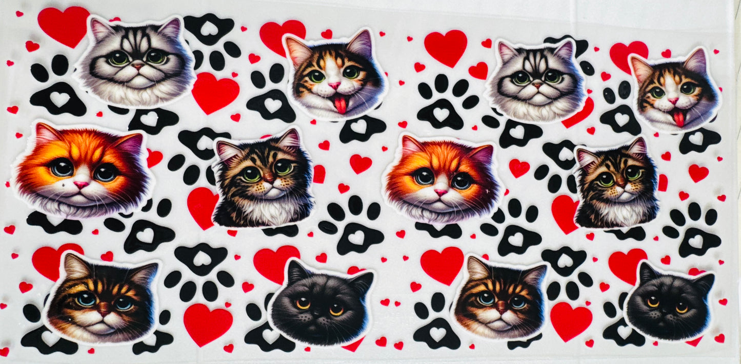 Gatitos // Cats