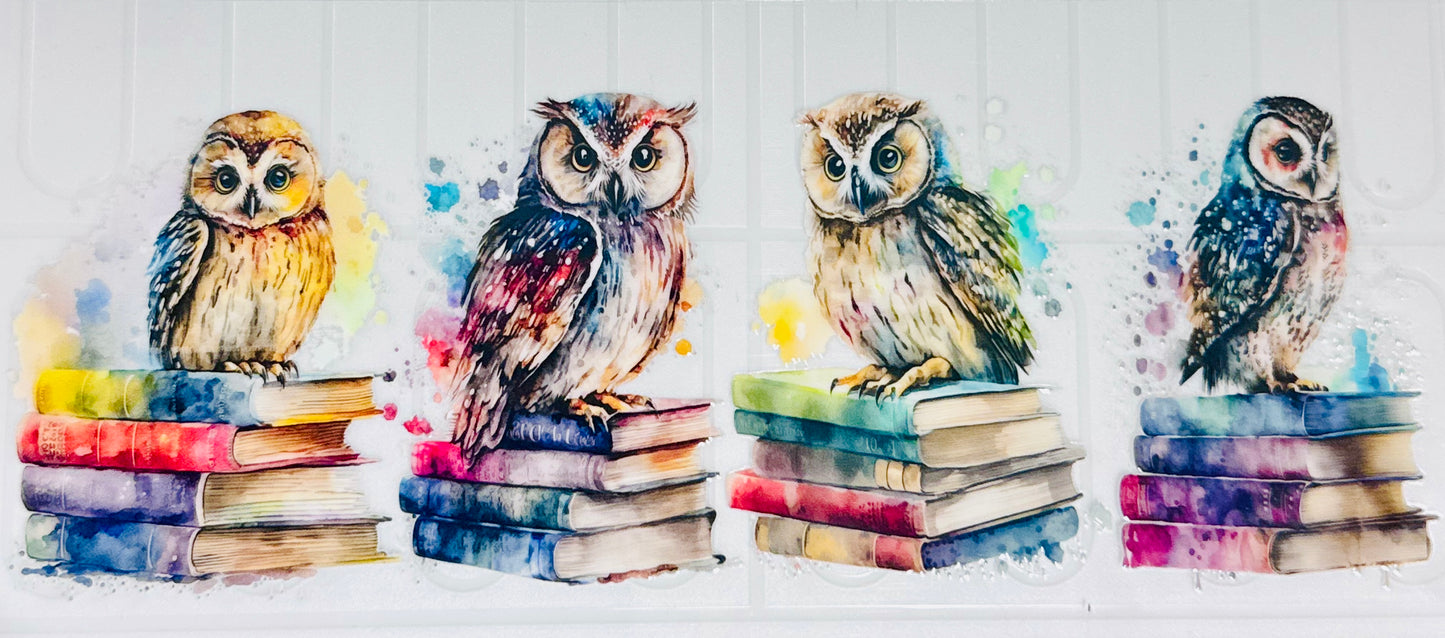 Owls and Books