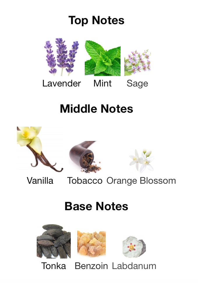 The Kingdom || Le Male Elixir by Jean Paul Gaultier Inspired.