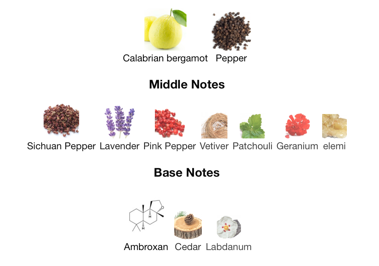 Decant (TESTER) 5mL. Savage by La Grácia || Sauvage by Dior inspiration