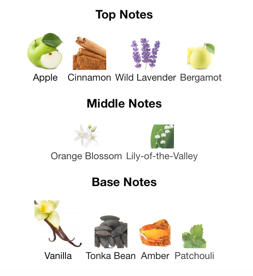 Decant (TESTER) 10 mL. || 9 PM by Afnan