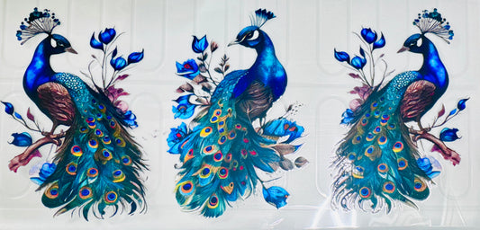 Pavo real