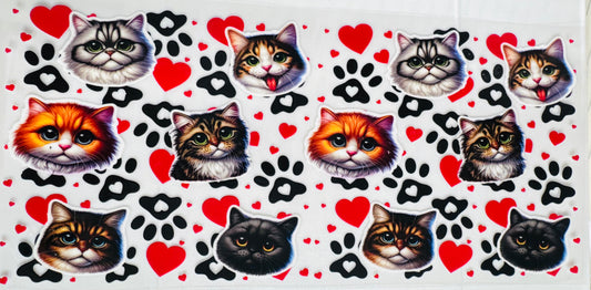 Gatitos // Cats