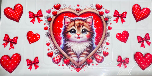 Cat in a Frame